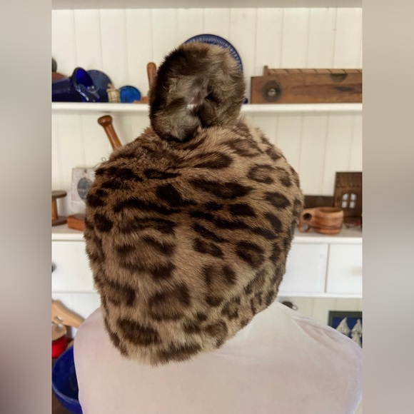 Morgan’s - Picture 2 of 4